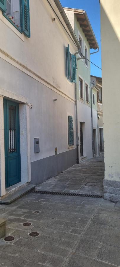 פיראן Apartma Galeb מראה חיצוני תמונה